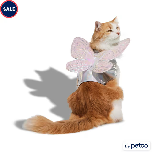 Bootique Fairy Wings Cat Halloween Costume, Small/Medium | Petco
