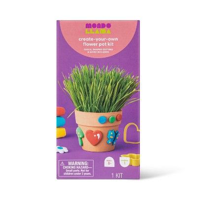 Flower Clay Pot Kit - Mondo Llama™ | Target