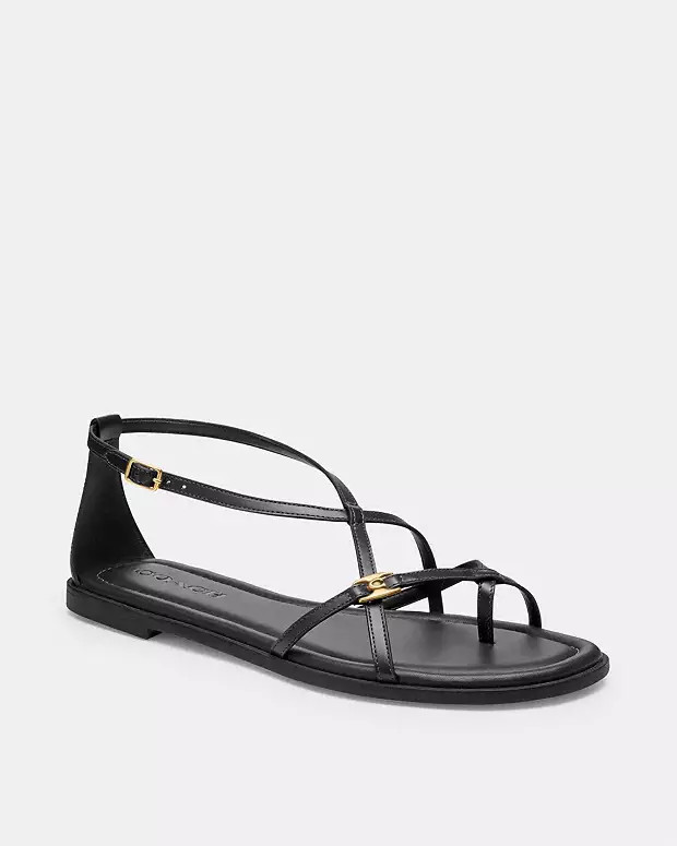Jenni Sandal | Coach (UK)