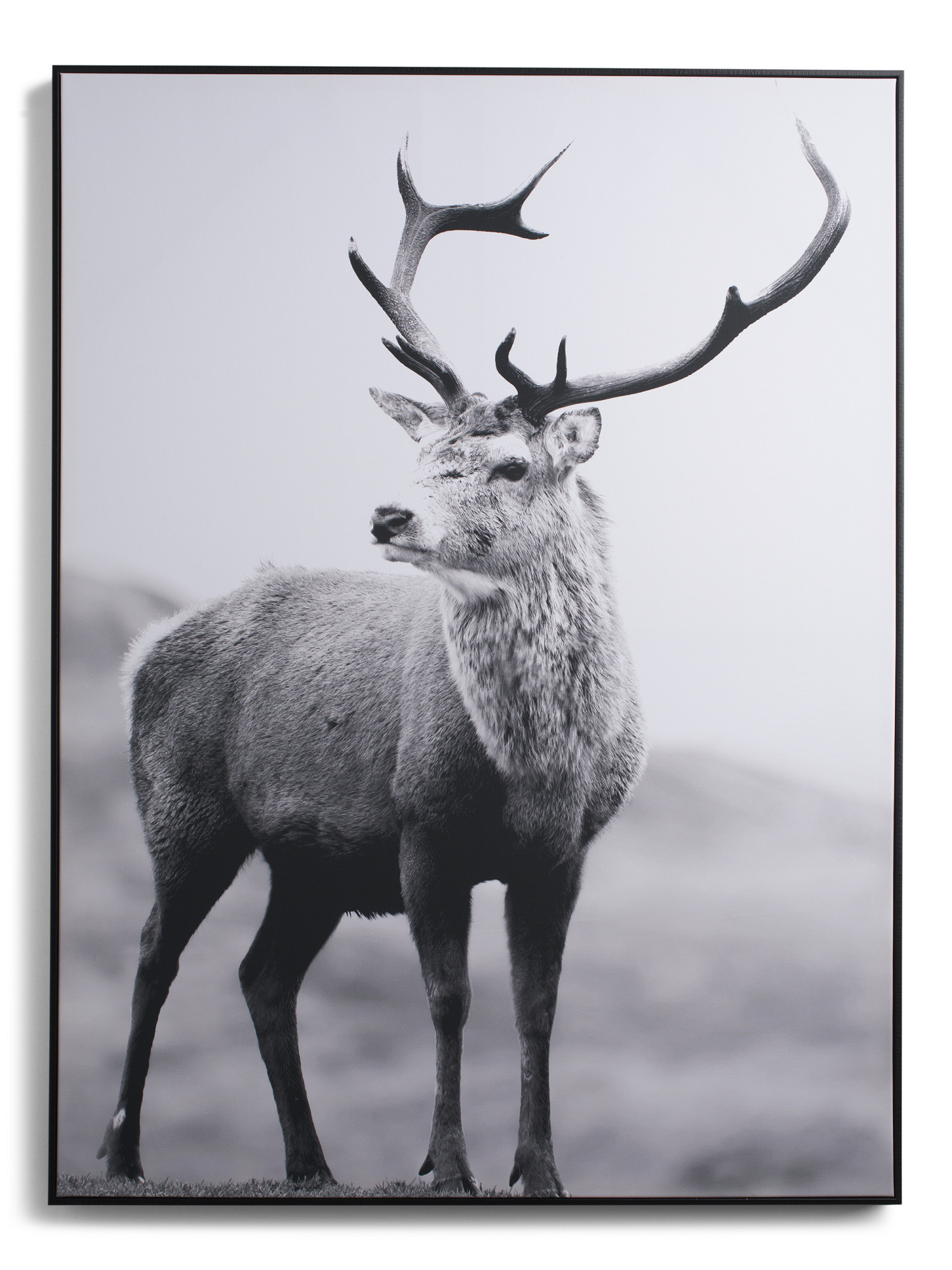 MIDDLE OF NOWHERE | Marshalls