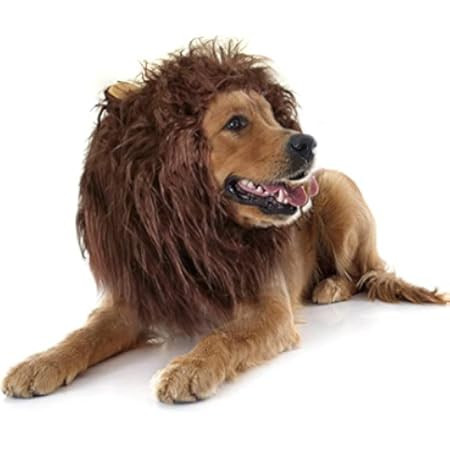 TOMSENN Dog Lion Mane - Realistic & Funny Lion Mane for Dogs - Complementary Lion Mane for Dog Costu | Amazon (US)
