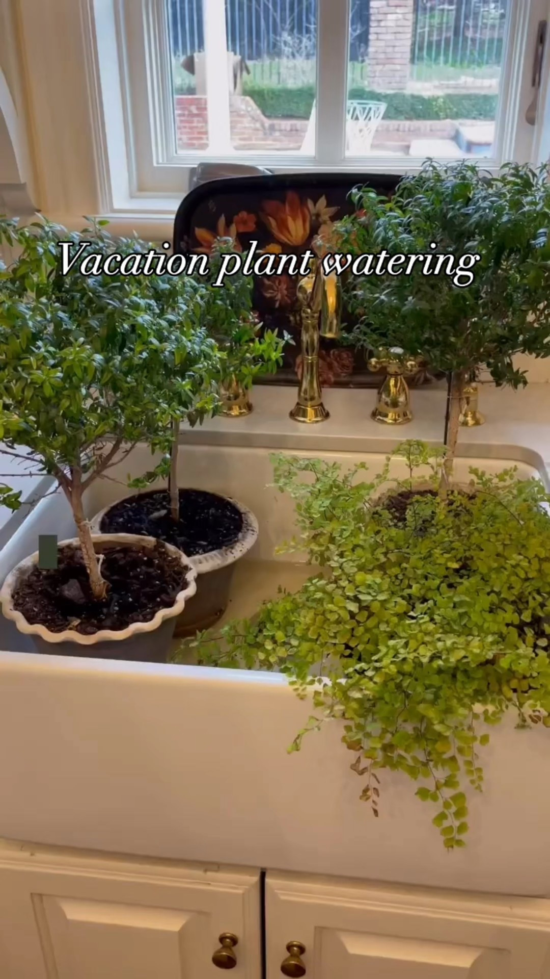 Leaving town for a few days? Be sure to add this tip to your list of things to do before you go! 

#LTKHome