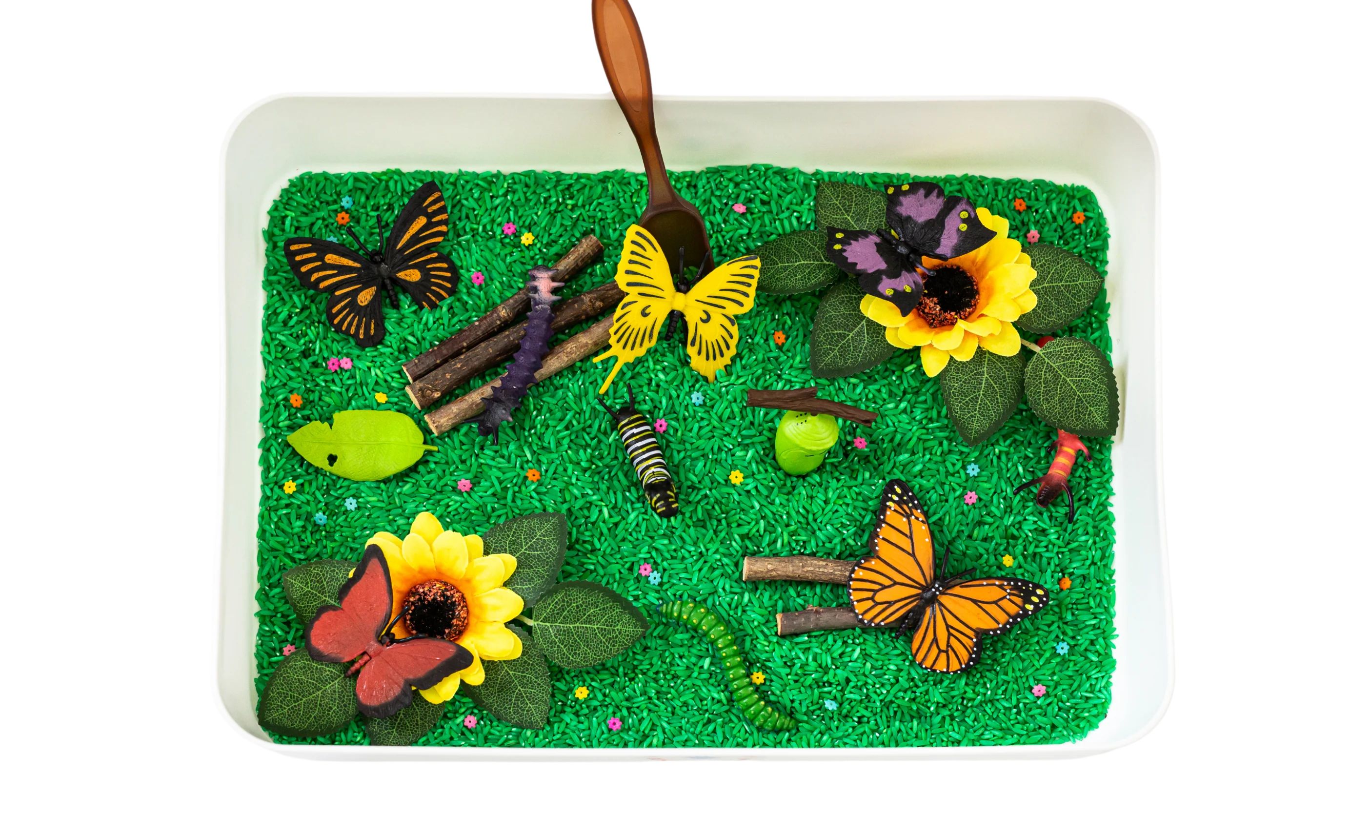 Butterfly Life Cycle Sensory Bin | Mama of Joy Sensory Play