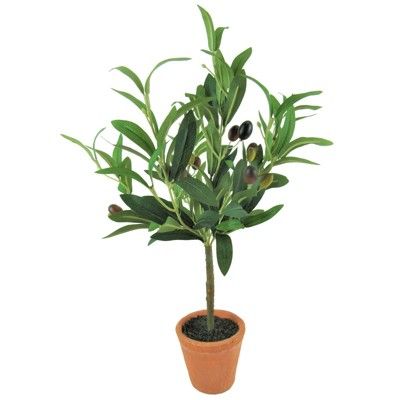 Set of 3 Artificial Olive Plants in Pots - LCG Florals | Target