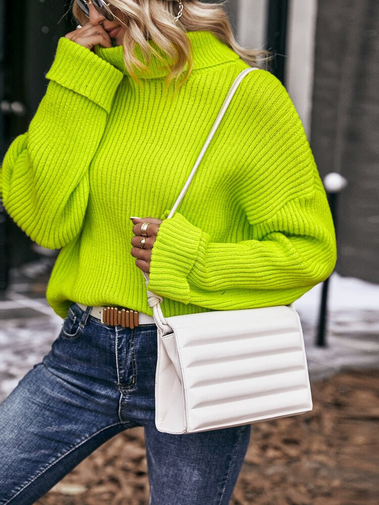 SHEIN Unity Solid Drop Shoulder Turtleneck Sweater | SHEIN