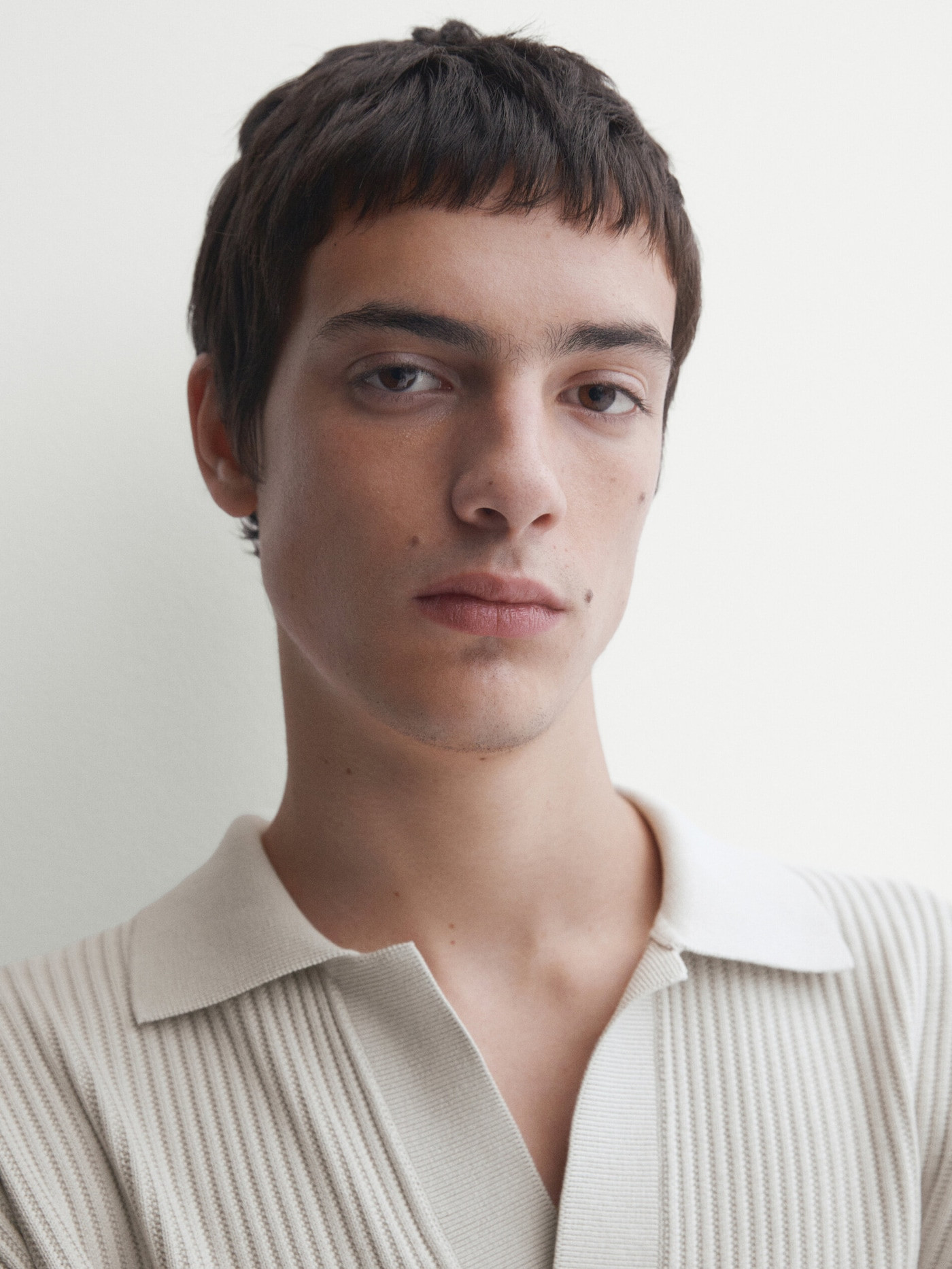 Cotton ribbed knit polo sweater | Massimo Dutti UK