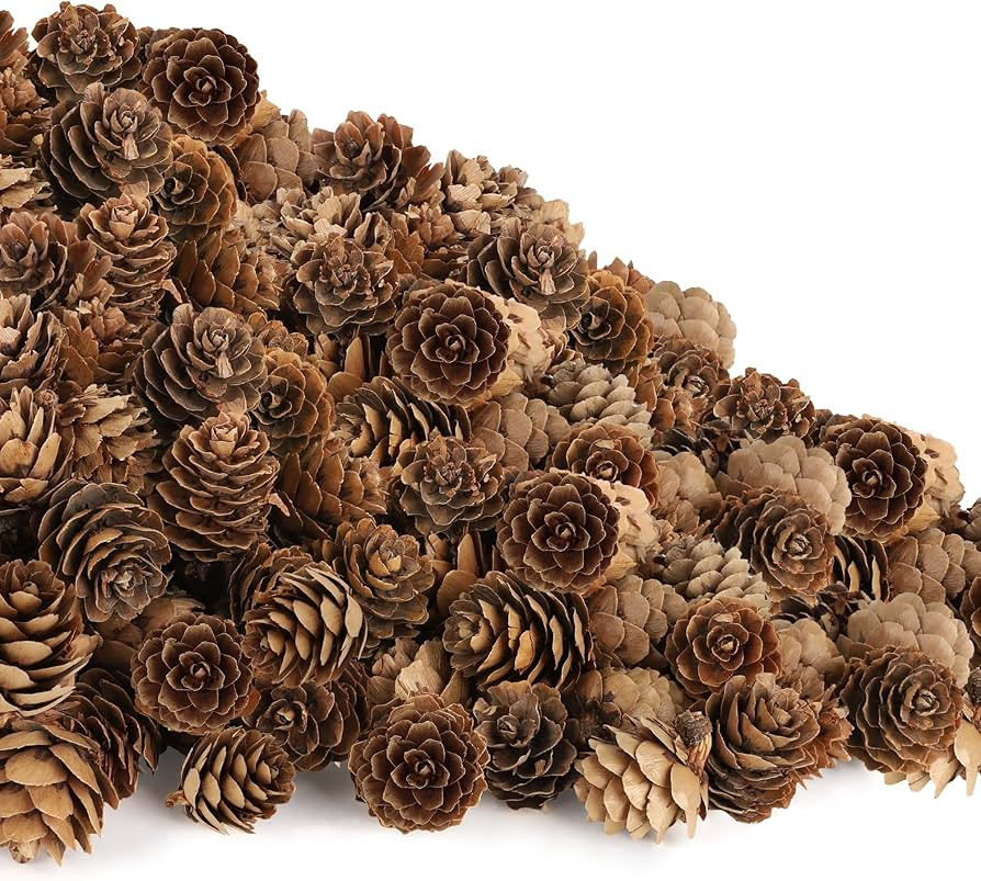 100 Pack Pine Cones, Mini Natural Pine Cones for Christmas Tree, 1.18 in Pine Cones for Crafts, M... | Amazon (US)