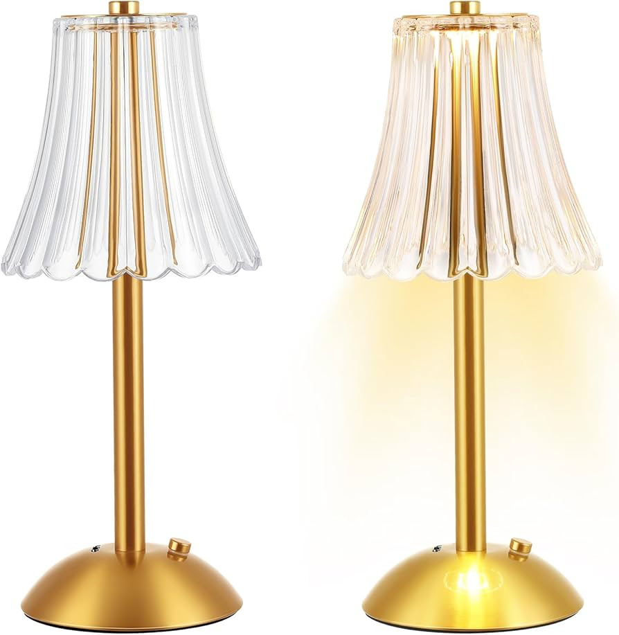 Liliful 2 Pcs LED Portable Cordless Table Lamp Touch Battery Operated Rechargeable Gold Desk Lamp... | Amazon (US)