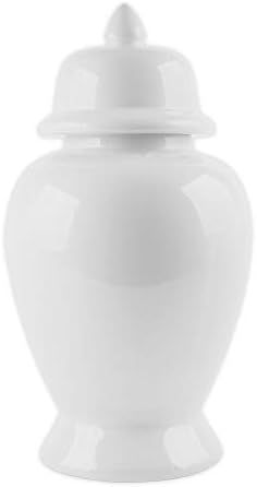 W Home 14-Inch Ginger Jar in White | Amazon (US)