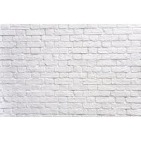 5Ft X 10Ft White Brick Wall Vinyl Backdrop/Custom Photo Prop 001 | Etsy (US)