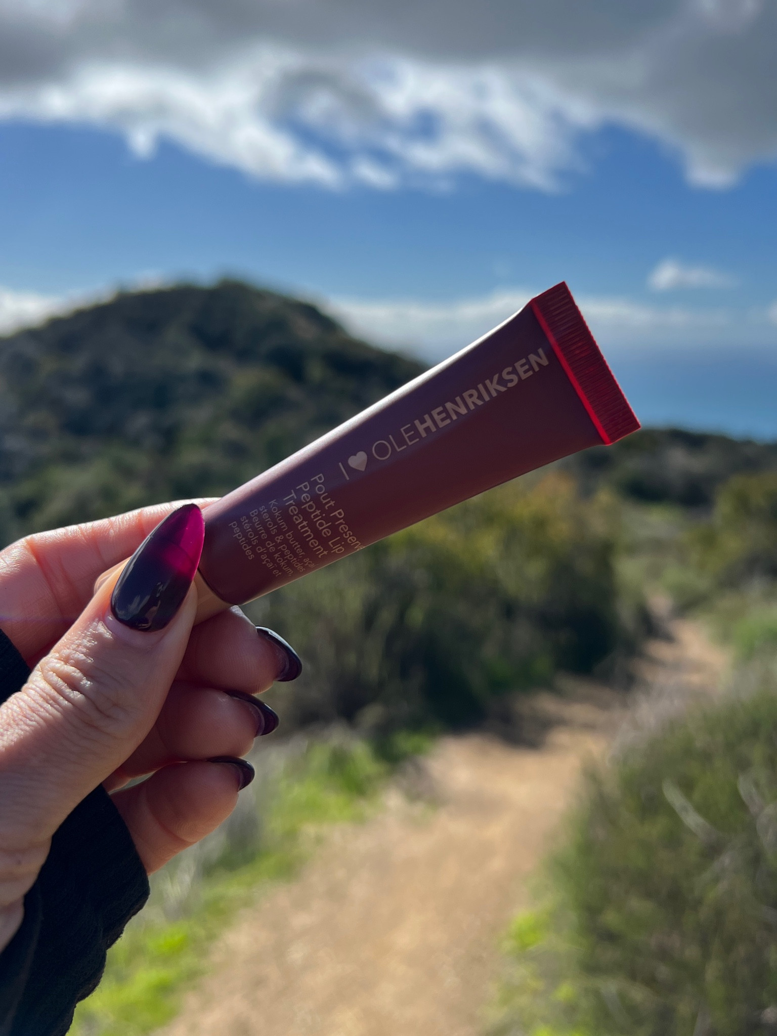 Keeping the lips hydrated and glossy this winter 

 #LTKselfcare #LTKFindsUnder50 #LTKBeauty