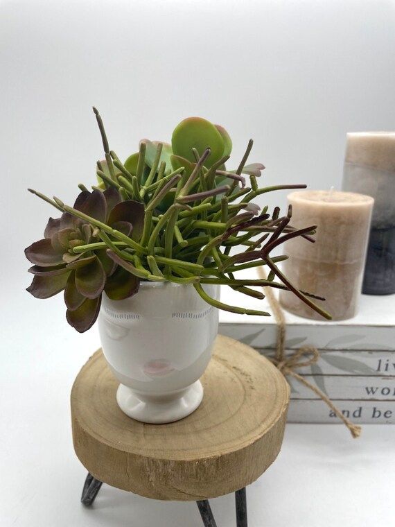 Faux Succulents in Face Vase Artificial Succulent Collection - Etsy | Etsy (US)