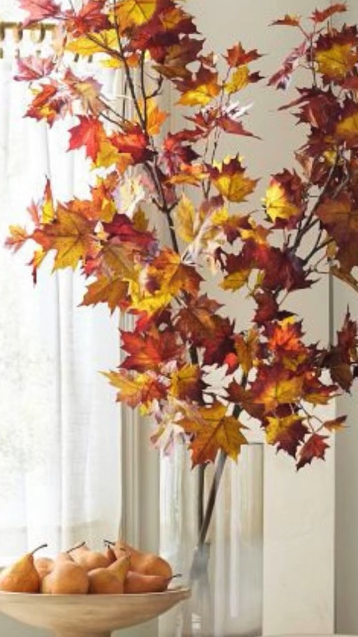 Introducing the FABULOUS FALL FLORALS Collection—a stunning array of seasonal blooms and foliage designed to bring the beauty of autumn into your home. This collection features rich, vibrant colors and textures that capture the essence of fall, from deep reds and golden yellows to earthy greens and browns.

Perfect for creating captivating centerpieces, accenting your mantel, or adding a touch of seasonal charm to any room, these florals are meticulously crafted to look fresh and lifelike. Whether you're decorating for a special occasion or simply want to celebrate the season, the Fabulous Fall Florals Collection offers a variety of arrangements that effortlessly enhance your decor.

Embrace the warmth and elegance of fall with this beautiful collection, designed to fill your home with the timeless beauty of nature. 

#LTKHome #LTKSeasonal #LTKFindsUnder100