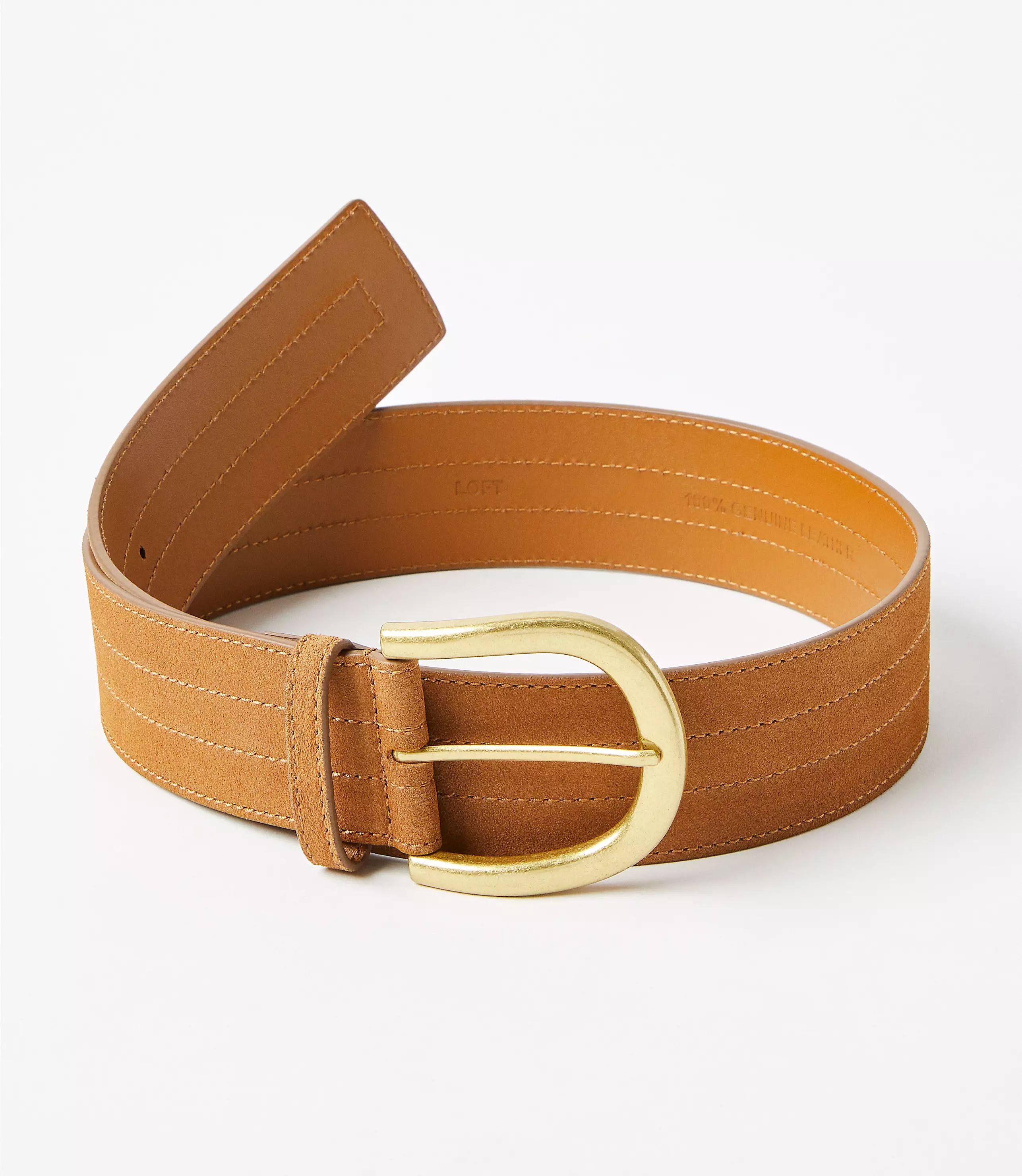 Suede Wide Belt | LOFT