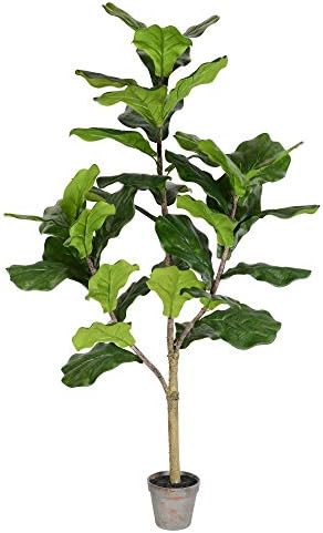 Visit the Vickerman Store | Amazon (US)