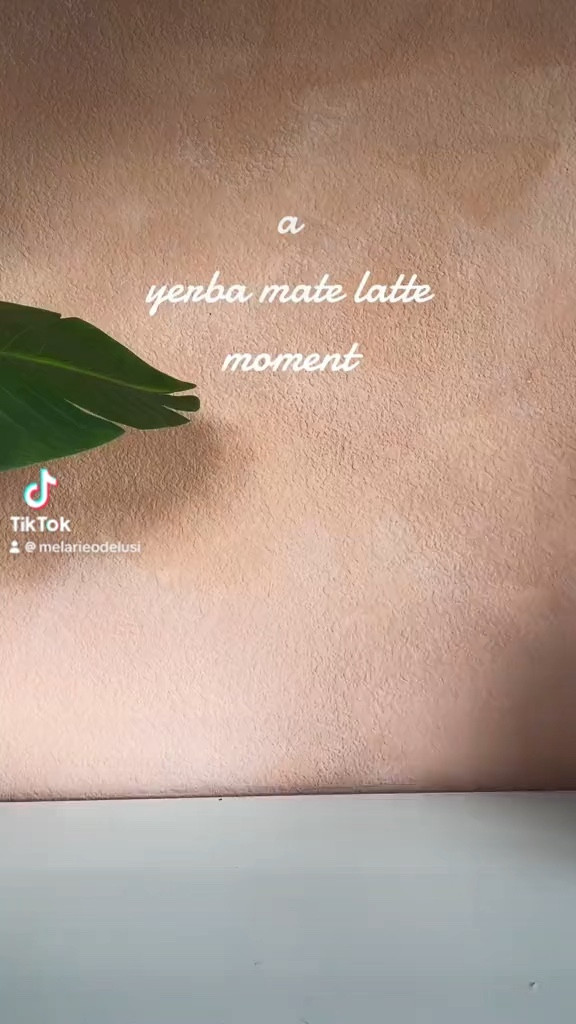 Yerba mate latte? Absolutely. Here’s my favorite way to drink it. What started as oat milk being my go to, I’ve moved on to Yofiit chickpea milk for some added protein! I’ll add it below! Thank me later. 

#LTKhome #LTKVideo