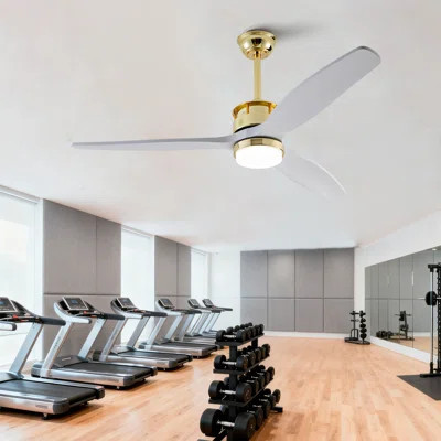 White and Gold Ceiling Fans with Lights and Remote, 3 Solid Wood Blades, 6 Speeds, Quiet DC Motor, Dimmable LED, Modern Gold Ceiling Fan for Indoor Be | Wayfair North America
