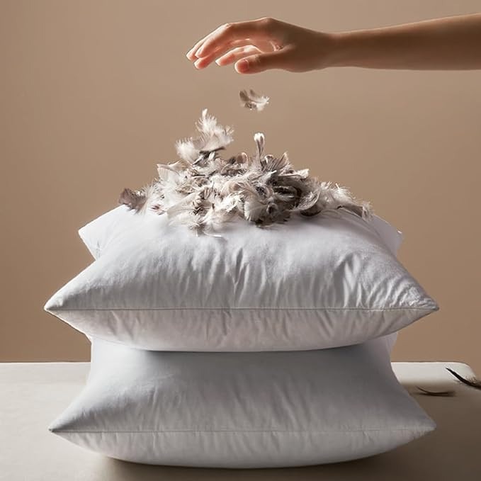 MIULEE 22x22 Pillow Inserts, Pack of 2 Down Feather Throw Pillow Inserts, Decorative Fluffy Throw... | Amazon (US)