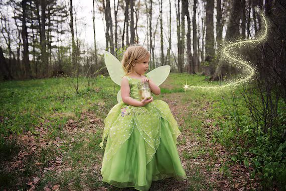 Tinkerbell Fairy dress for Birthday costume or Photo shoot Tinkerbell dress outfit Birthday dress... | Etsy (US)