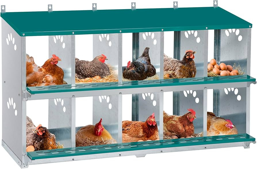 Chicken Nesting Box, 10 Compartment Nesting Box, 10 Room Metal Nesting Boxes for Chicken | Amazon (US)