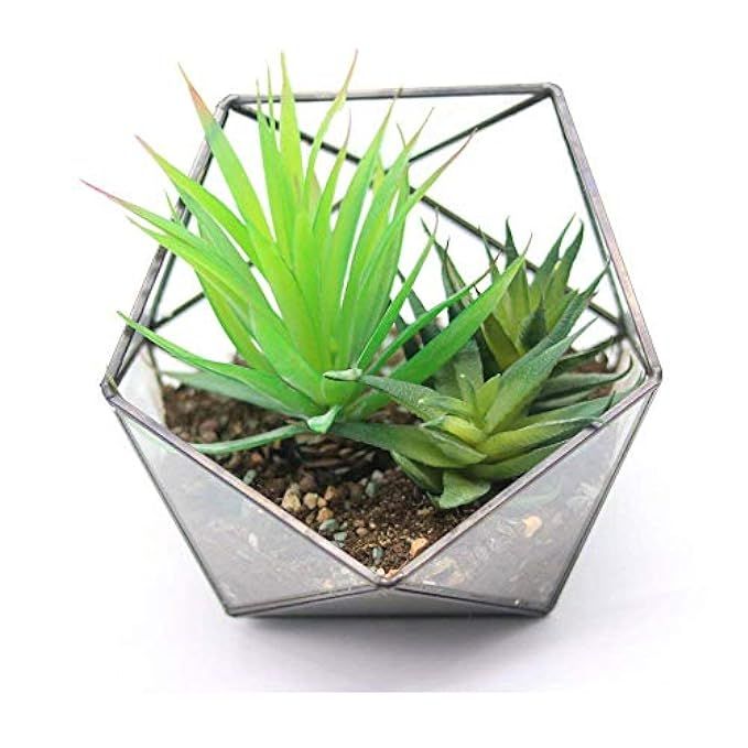 Purzest Glass Terrarium,Glass Geometric Terrarium Tabletop Succulent Plant Box Planter | Amazon (US)