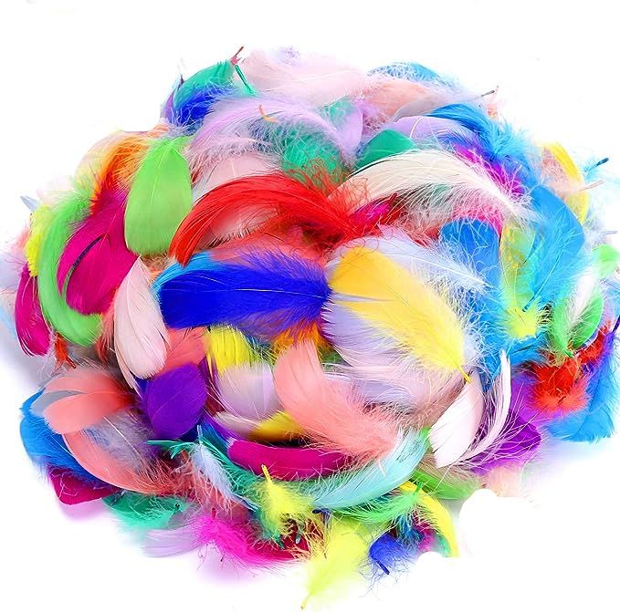 600PCS Colorful Feathers DIY Crafting Feathers Wedding and Party Decoration Bulk Feather for Mask... | Amazon (US)