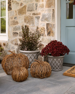Pre-Lit Outdoor Vine Pumpkin XL | McGee & Co. (US)