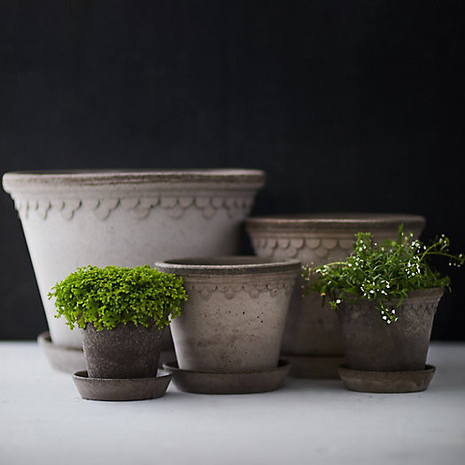 Bergs Palace Pot + Saucer | Terrain