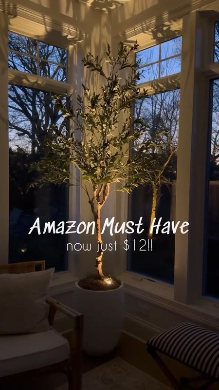 Obsessed with this Amazon home find!! Looks amazing with my favorite faux olive tree that's also from Amazon! The accent light is only $12 and is such a cozy vibe at night!!  ✨
(4/26)

#LTKhome #LTKstyletip #LTKVideo