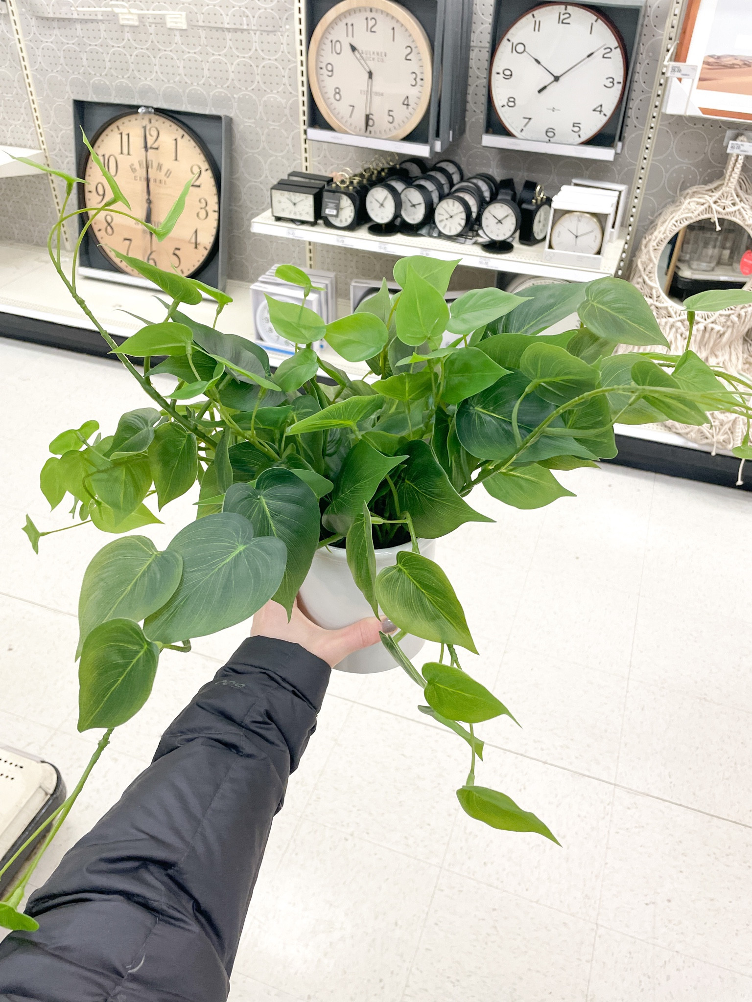 The best looking faux plant! Very impressed with the quality on this one 

Faux house plants
Fake house plants
Home decor
Greenery
Bookshelf decorating

#LTKhome #LTKstyletip