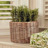 Vintage Large Round Antique Wash Indoor Outdoor Planter Garden Decor Plant Pot | Debenhams UK