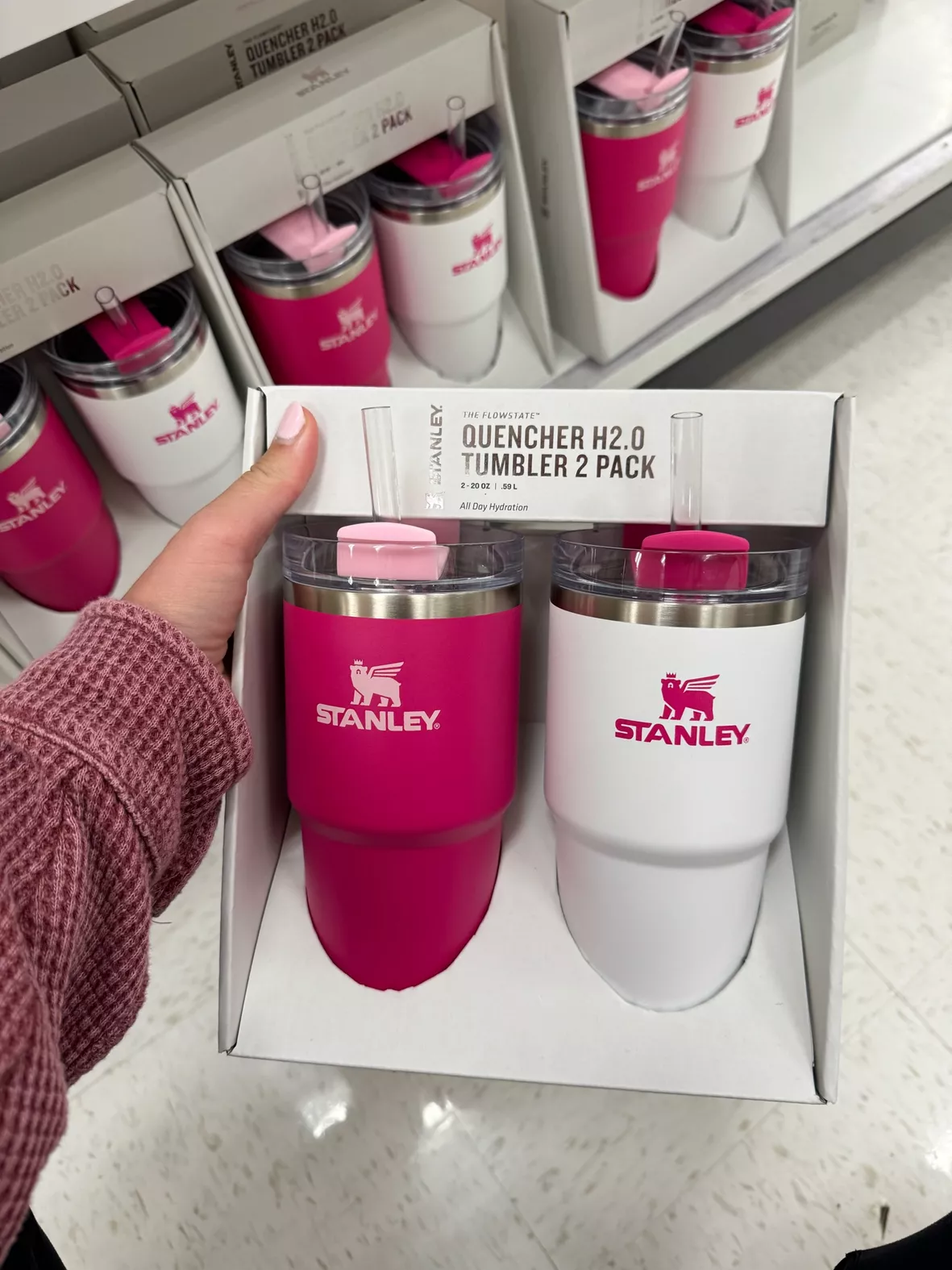 Stanley 2pk 20oz Stainless Steel H2.0 Flowstate Quencher Tumblers : Target
