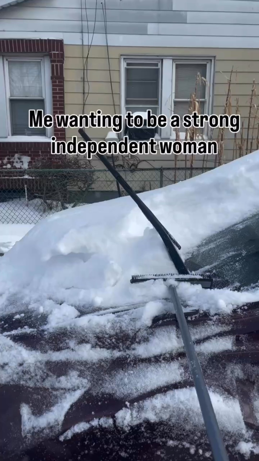 Have you been affected by the snowstorm? If yes, how are you spending your day? This rubber broken with squeegee from Walmart came in quite handy for easy snow removal from my SUV. I have a similar one beloww

#LTKstorytime #LTKvlog
