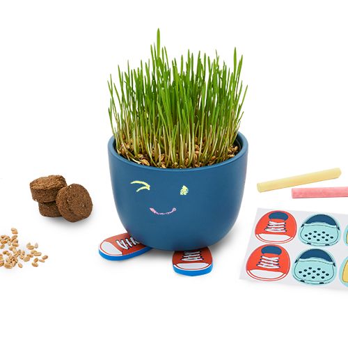 Draw & Grow Planter | KiwiCo | KiwiCo