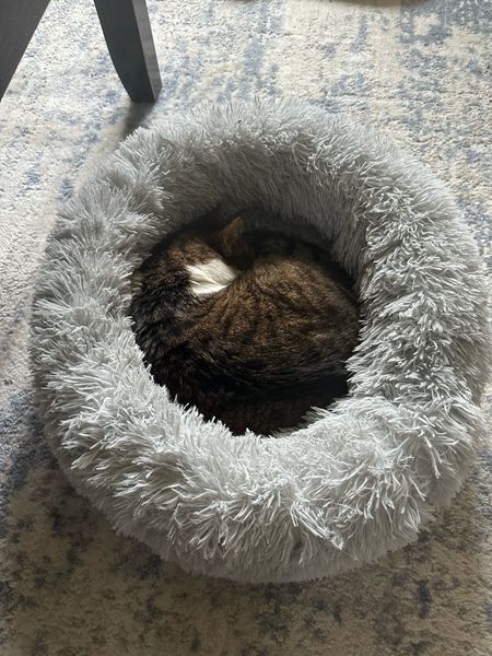 Soft cat bed 

#LTKunder50 #LTKhome #LTKfamily