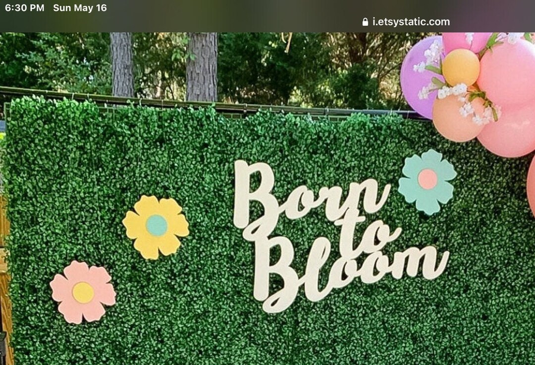 Born to Bloom , First Birthday Sign, Baby Shower Backdrop, Baby Shower Photo Prop Frame, Baby Sho... | Etsy (US)