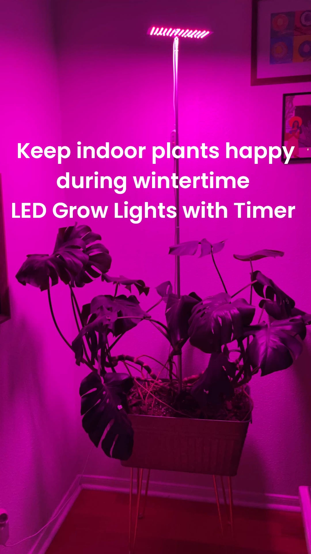 This is the indoor grow light that keeps my indoor plants happy during the winter time. It can be lit in natural light as well. 

The exact plant grow light shown here isn’t available anymore, but I’ve linked others for indoor plants 

#LTKHome