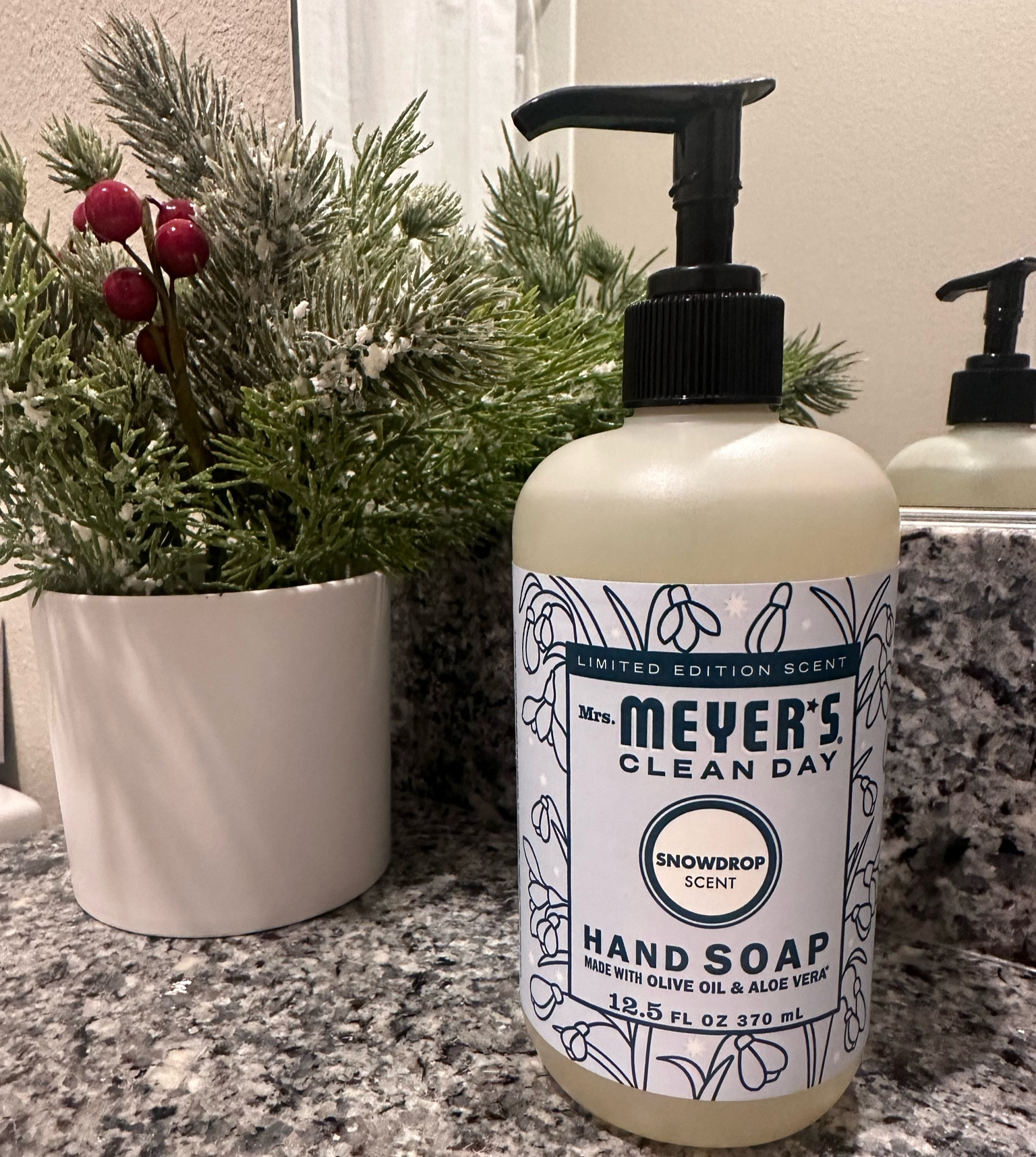 The very best holiday / winter hand soap! ❄️

#LTKSeasonal #LTKHoliday #LTKhome