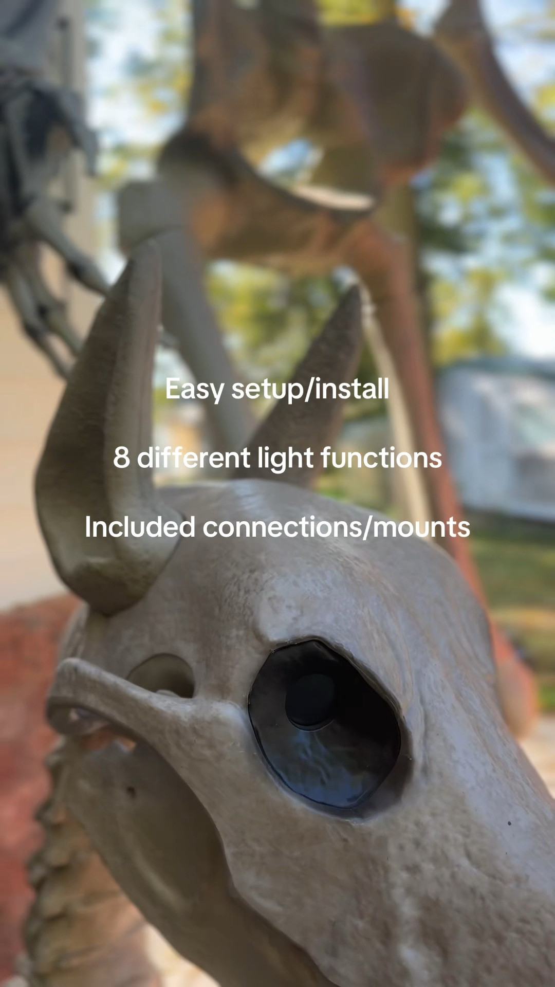 Best $30 I’ve spent 🤌🏼💀🦇



#LTKSeasonal #LTKHome #LTKSaleAlert