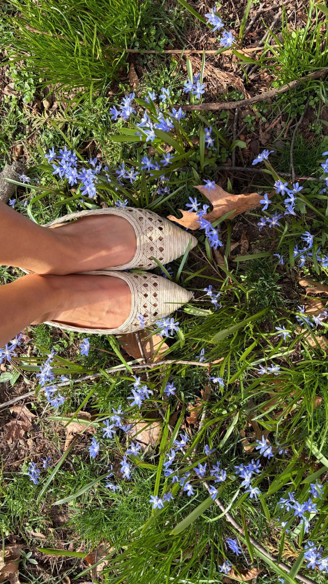 Spring shoes. 

#LTKMothersDay #LTKOver40 #LTKSeasonal