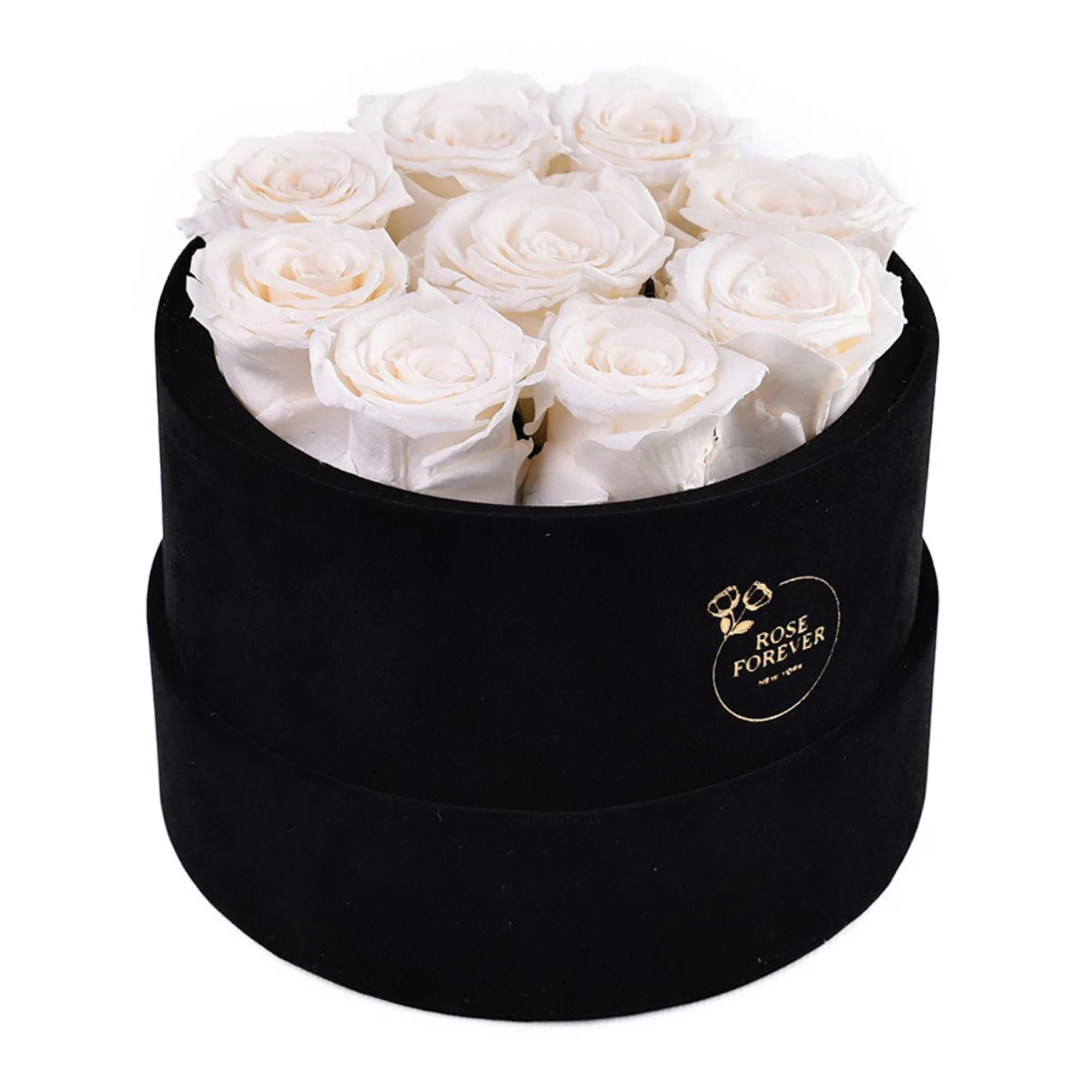 9 Ivory Roses - Black Round Velvet Box | Rose Forever 