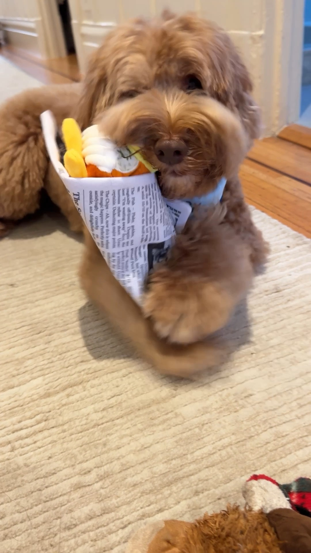 Hudson’s new fish and chips toy!!