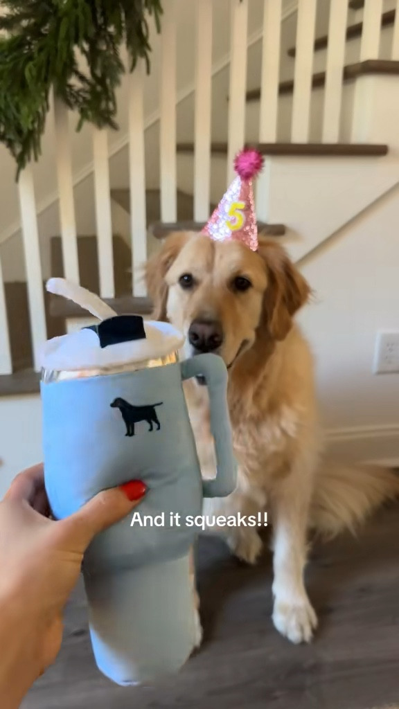 Every girl deserves a tumbler!! 🎀🐶

#LTKFindsUnder50 #LTKSeasonal #LTKHoliday