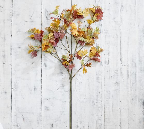 Faux Autumn Oak Branch | Pottery Barn (US)