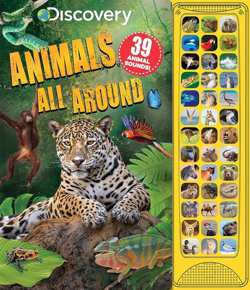 Discovery: Animals All Around (39-Button Sound Books) | Amazon (US)