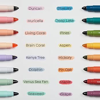 Bible Highlighters No Bleed, Cute Bible Journaling School Supplies, 16 Pack Assorted Colors, Stud... | Amazon (US)