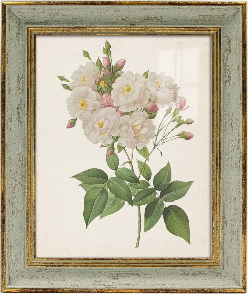 Sapowerntus Vintage 8x10 Picture Frame Gold Line Sage Green Distressed Photo Frames Set Antique W... | Amazon (US)