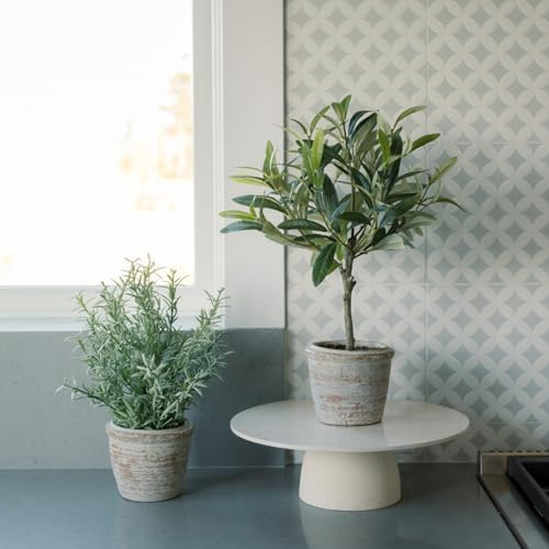CG Hunter Faux Rosemary Plant & Olive Topiary, Set-of-2 Premium Artificial Indoor Plants, Enhance... | Amazon (US)