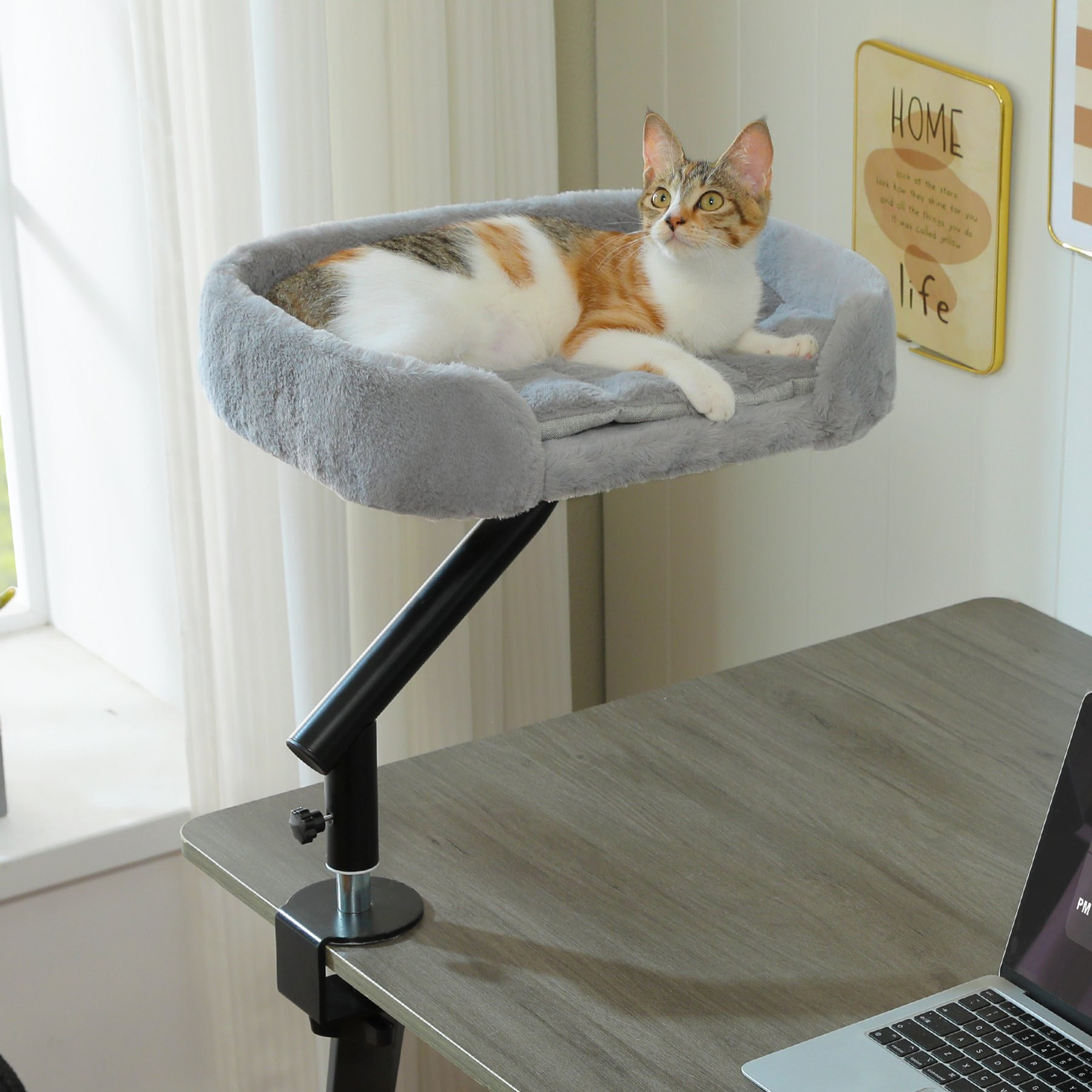 PAWZ Road Indoor Elevated Cat Desk Bed with Removable Cover, Medium, Grey | Chewy