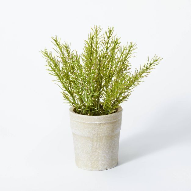 Flowering Rosemary Potted - Threshold&#8482; designed with Studio McGee | Target